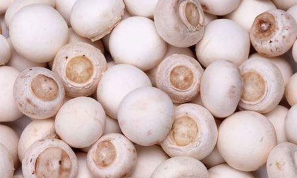 ��ʲô��������� ��Щʳ��������������